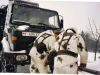 bild-21